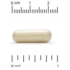 California Gold Nutrition, Oligopin, экстракт коры французской приморской сосны, 100 мг, 60 растительных капсул